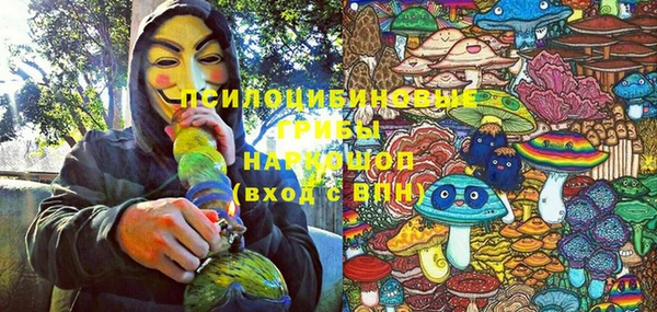 СК Абаза