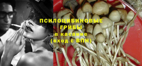 МДПВ Абдулино